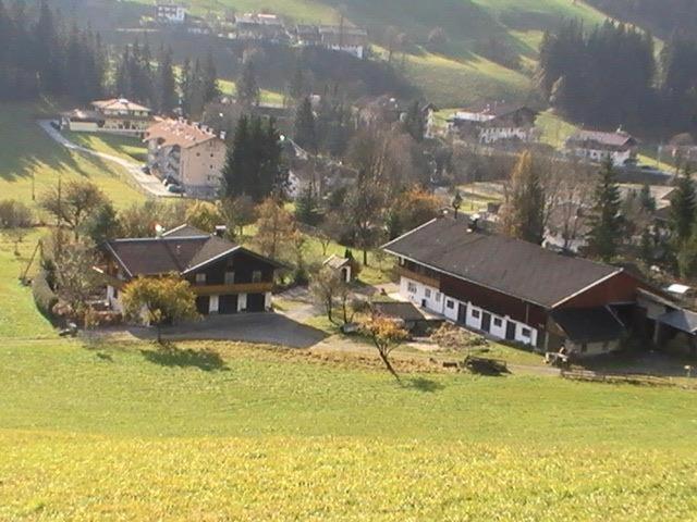 Trattenbachhof Scheffau am Wilden Kaiser Exterior foto